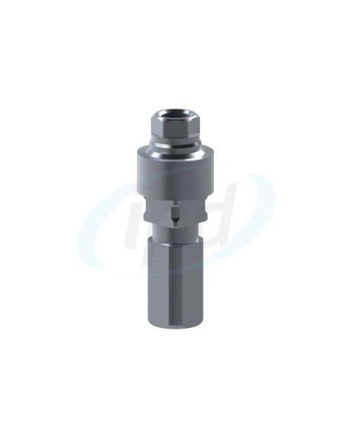 Analog compatible with Neodent® GM abutment