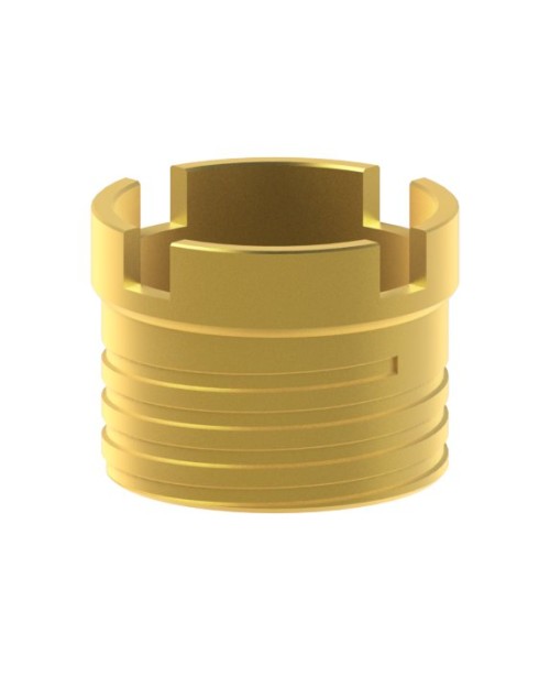 Tornillo Hollow Screw Compatible con IPD Tools & Extras...