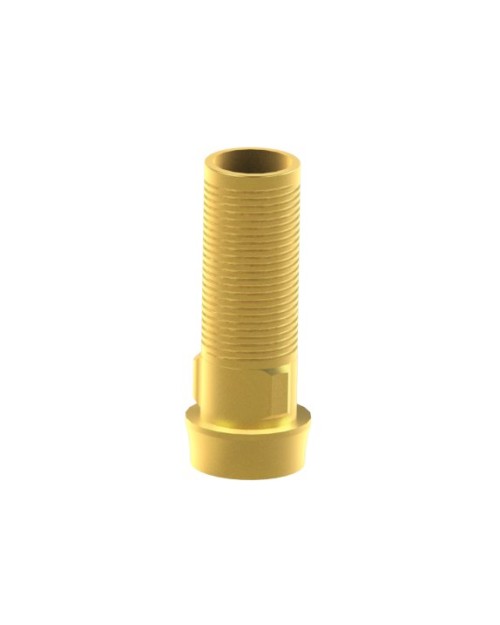 Custom Ti-Base Compatible con Branemark System®