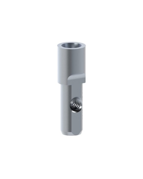Análogo Compatible con Anthogyr® Axiom® BL