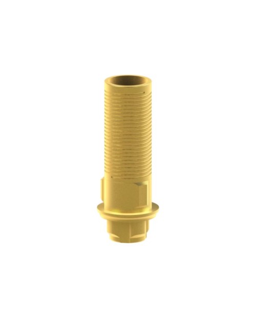 Custom Ti-Base Compatible con BTI® Core®