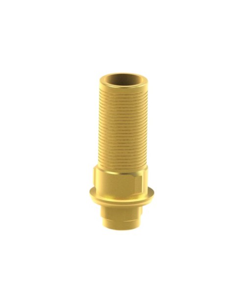 Custom Ti-Base Compatible con BTI® Interna