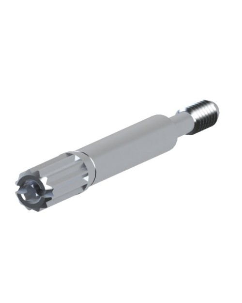 Pilar Provisional Compatible con Astra® Evolution®