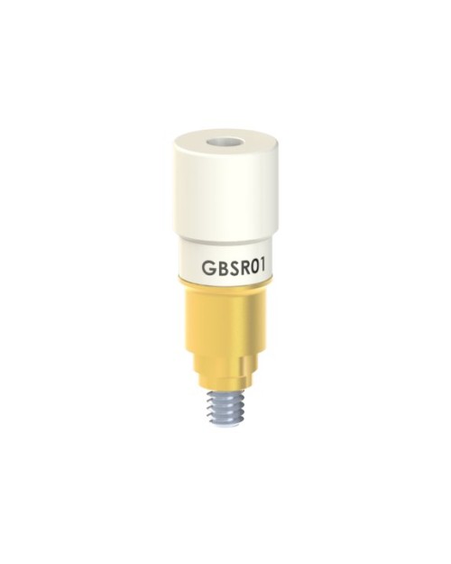 Scanbodies compatible with BTI® Interna