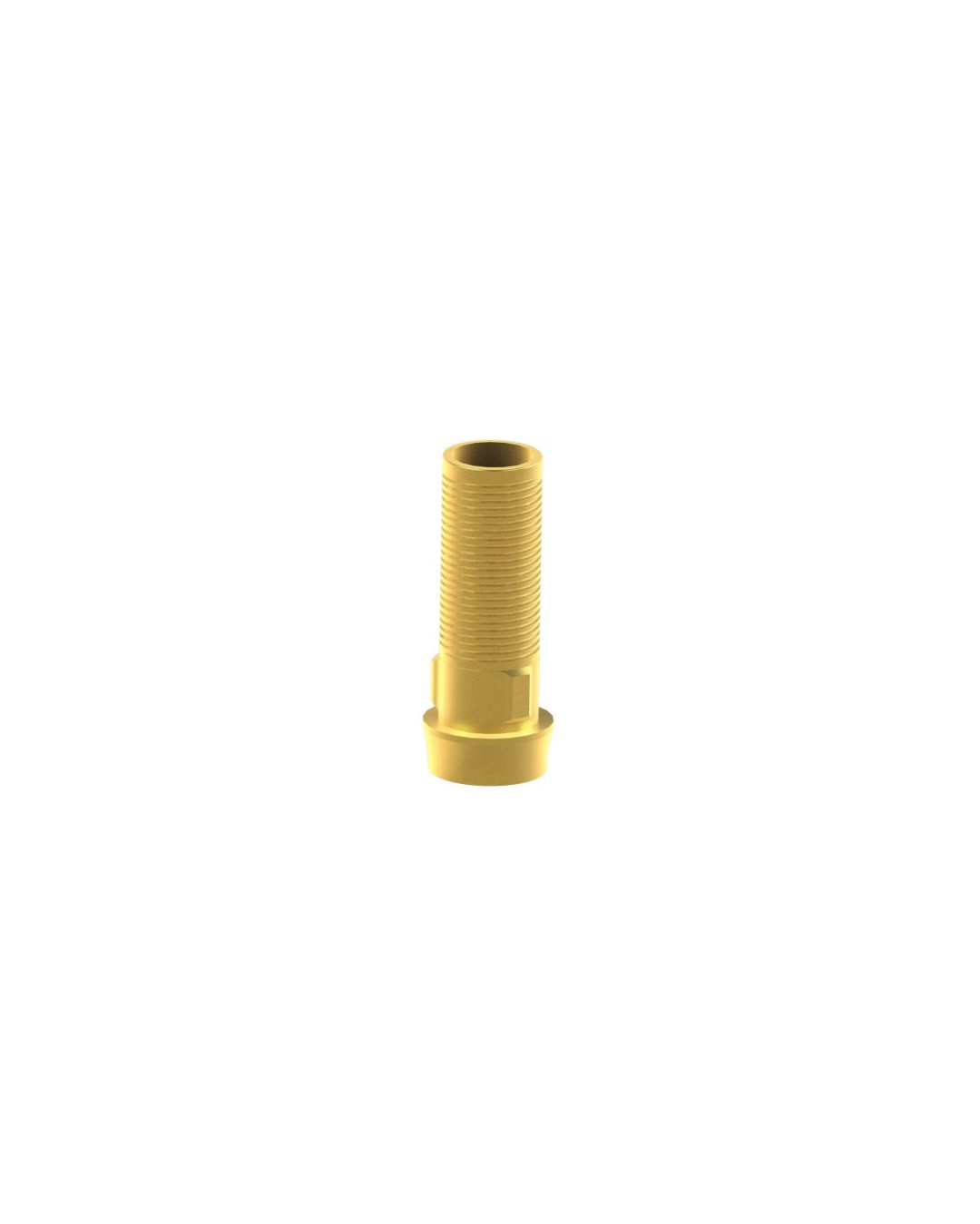 Custom Ti-Base Compatible con Biomet® 3i® Osseotite®