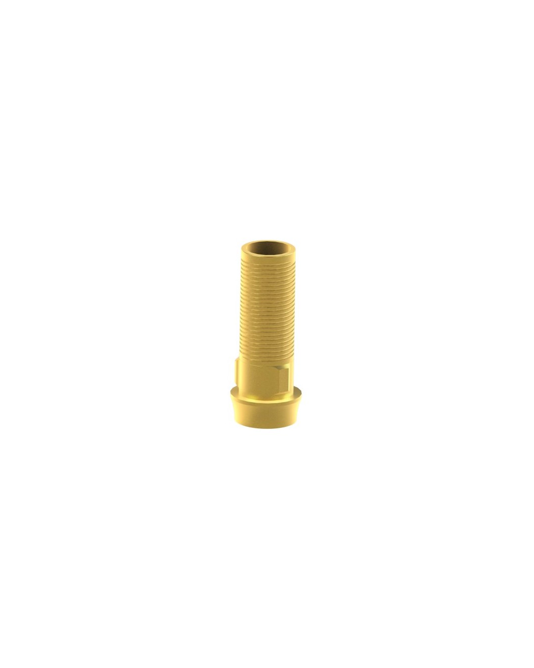 Custom Ti-Base compatible with Phibo® TSH®