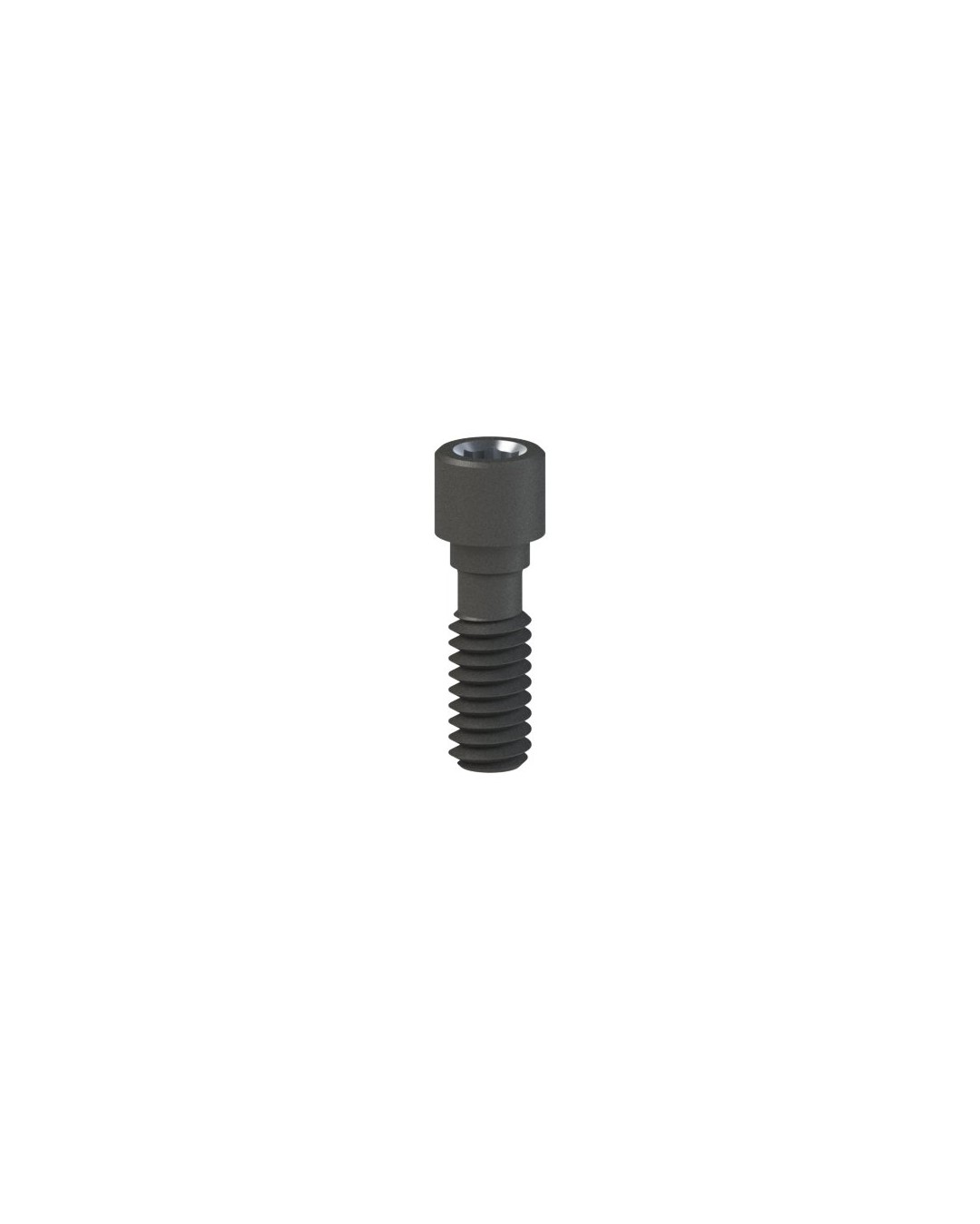 Screws compatible with BTI® Interna