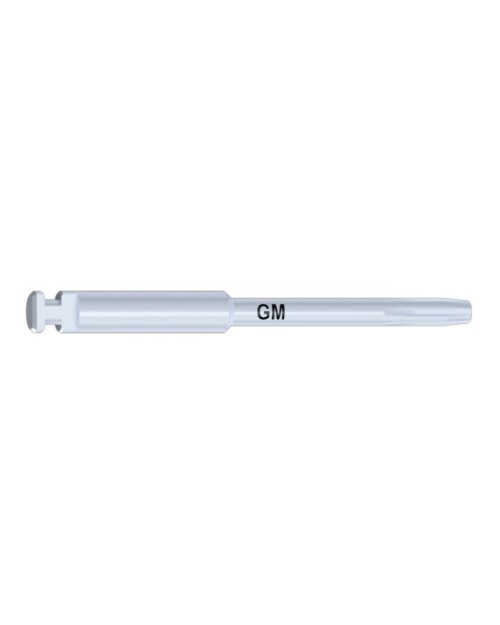 Punta NEO GM Compatible con Tools Screwtip